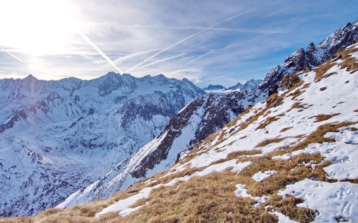 Population de chamois