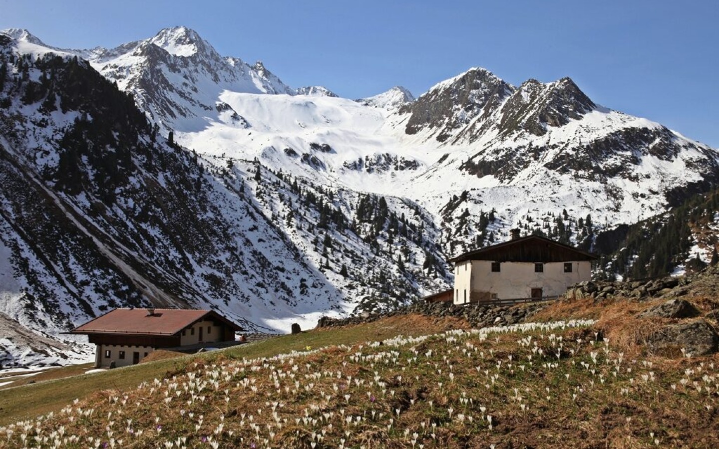 In the Kuhgschwez the snow cover reaches down to Ober Iss – the south-facing slopes, on the other hand, are free of snow up to approx. 2400m!