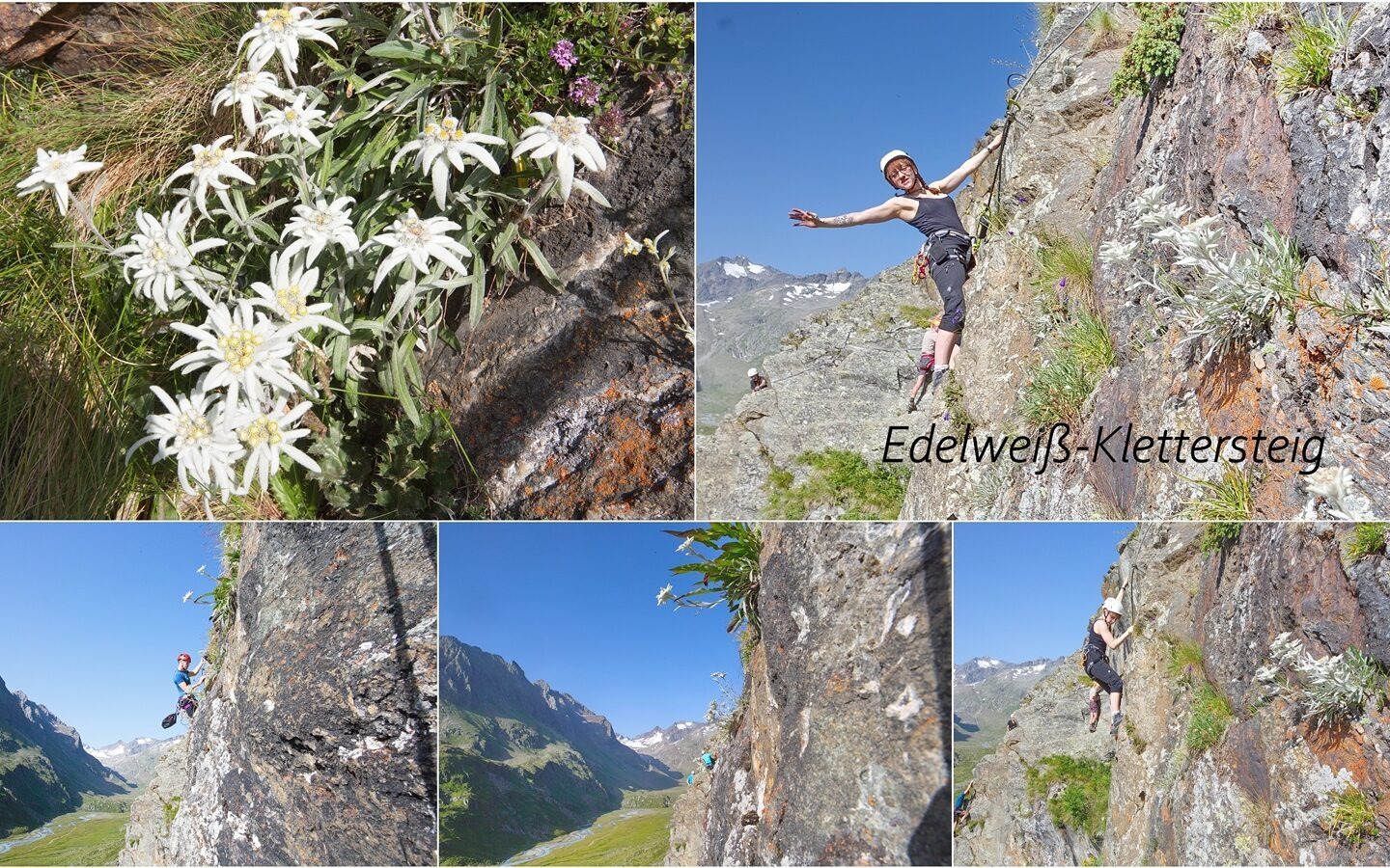 Edelweiß via ferrata