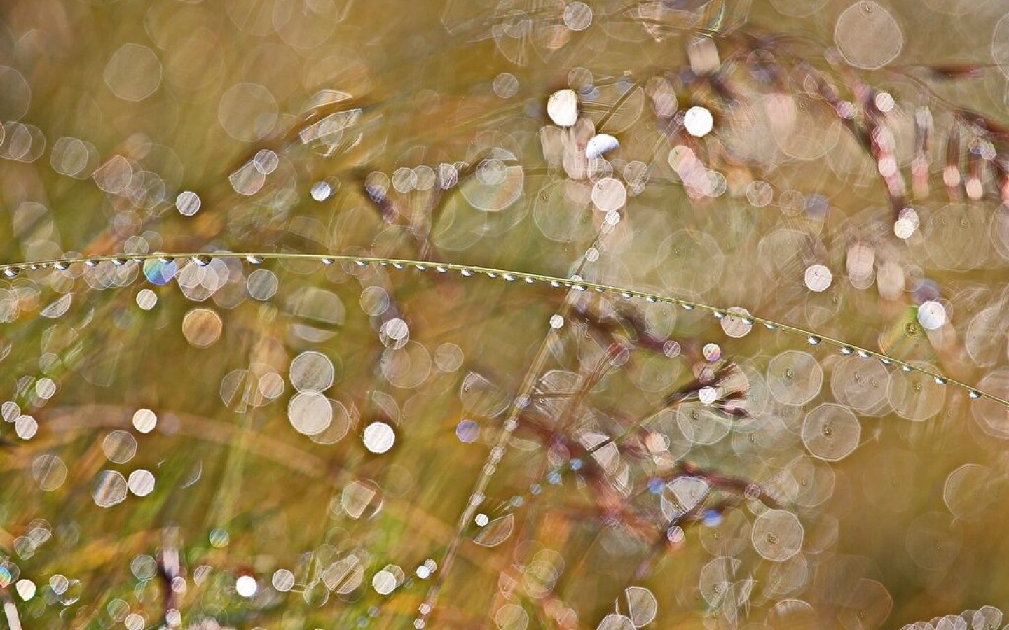 Even after rainy days you can find wonderful things – it's all about seeing them in the right LIGHT!