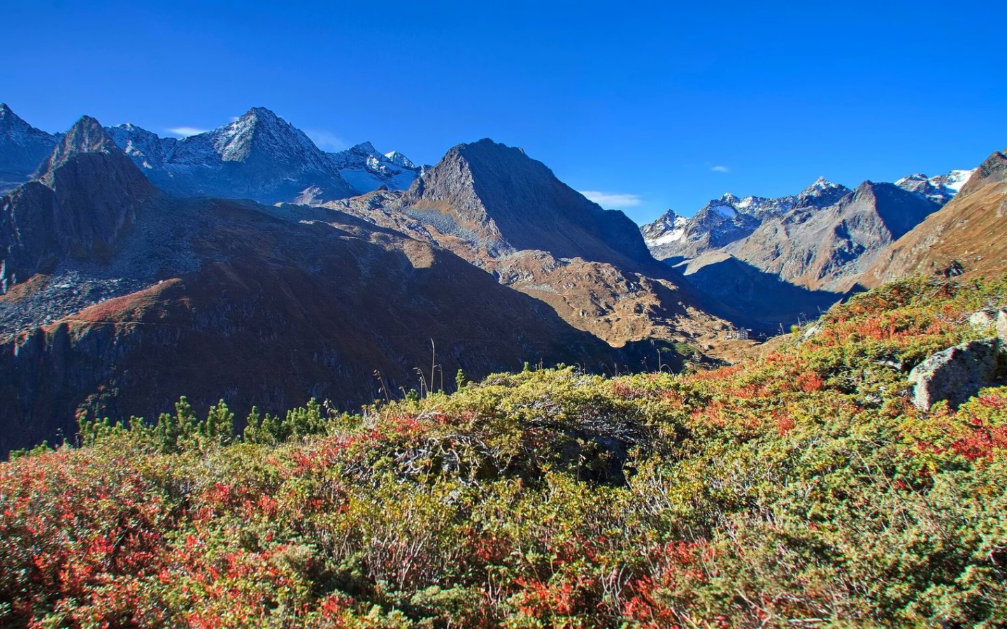 Autunno, più bello di così non si può!
