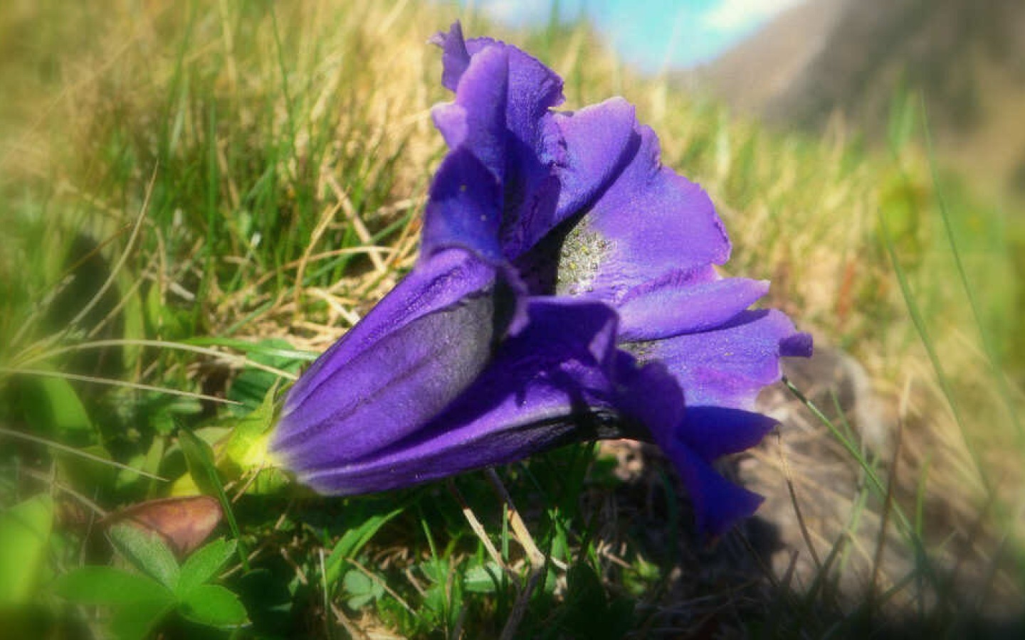 La primavera si fa strada anche in alta montagna, e la neve ne risente parecchio.