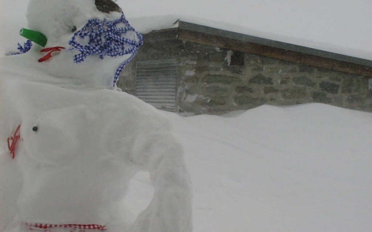 Nettement plus de neige fraîche que prévu - le danger d'avalanche a augmenté ! Voir www.lawine.at