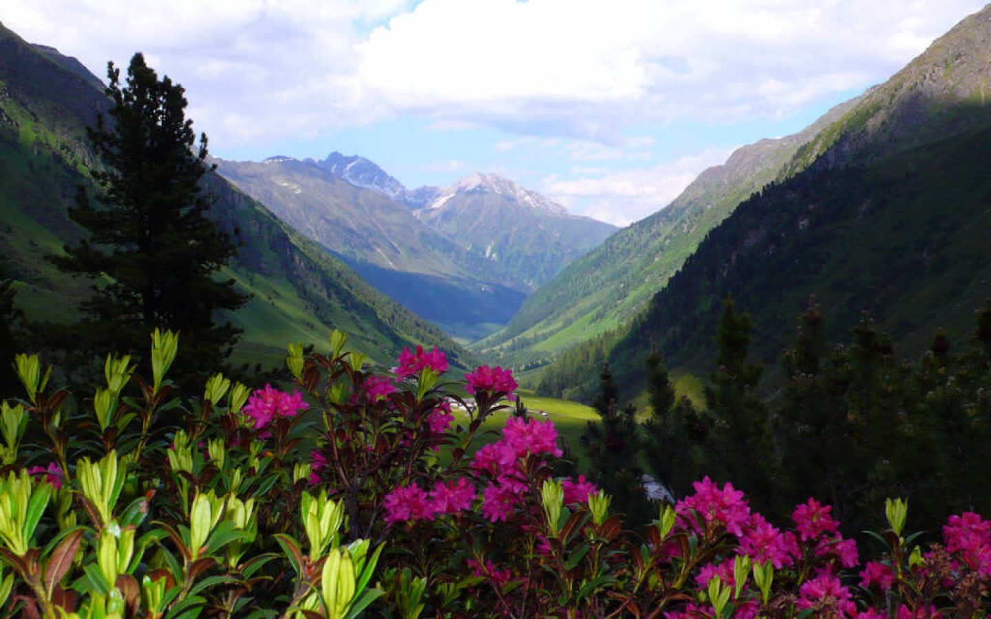 Domenica da mezzogiorno passaggio di un fronte di maltempo; purtroppo, secondo le ultime previsioni, il miglioramento del tempo tarda ad arrivare.