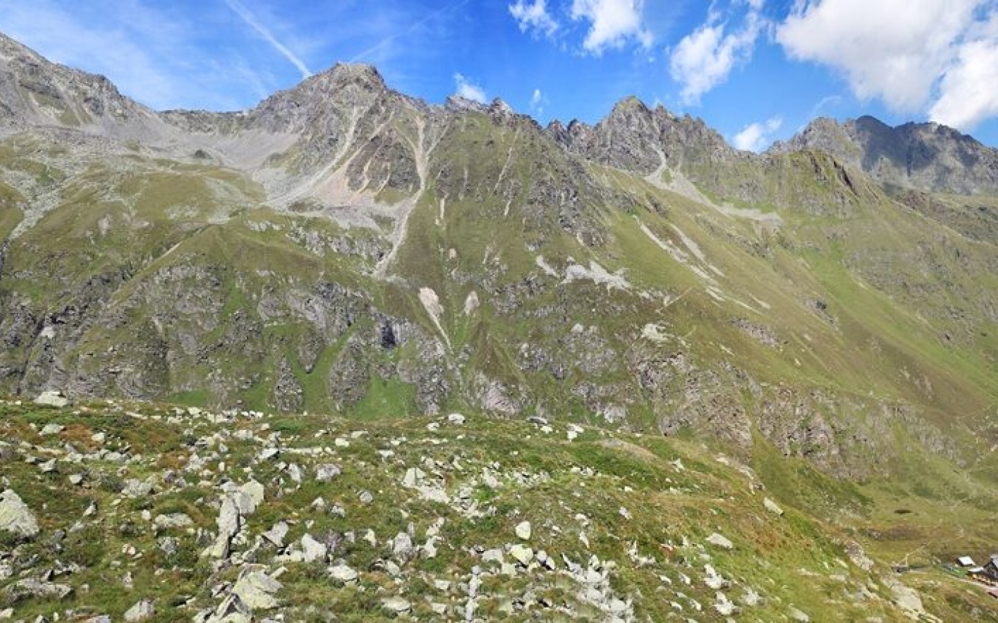 Panoramic photos taken from the Sommerwandsee! The magnificent web-weaving art of the little wolf spider ?? is fascinating!