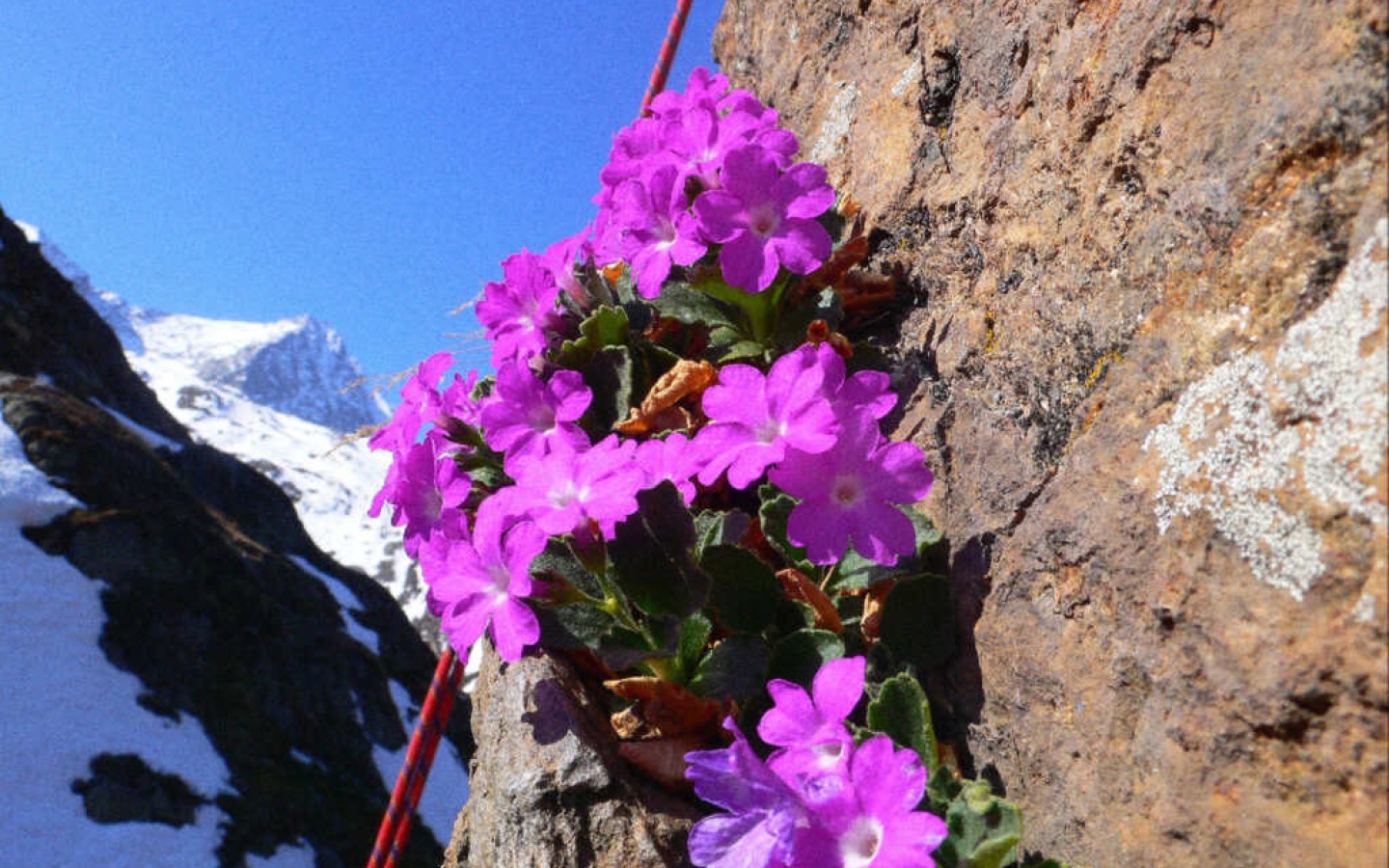 Con il fine settimana dal 03.05. al 04.05.08 chiudiamo la stagione scialpinistica di quest'anno!