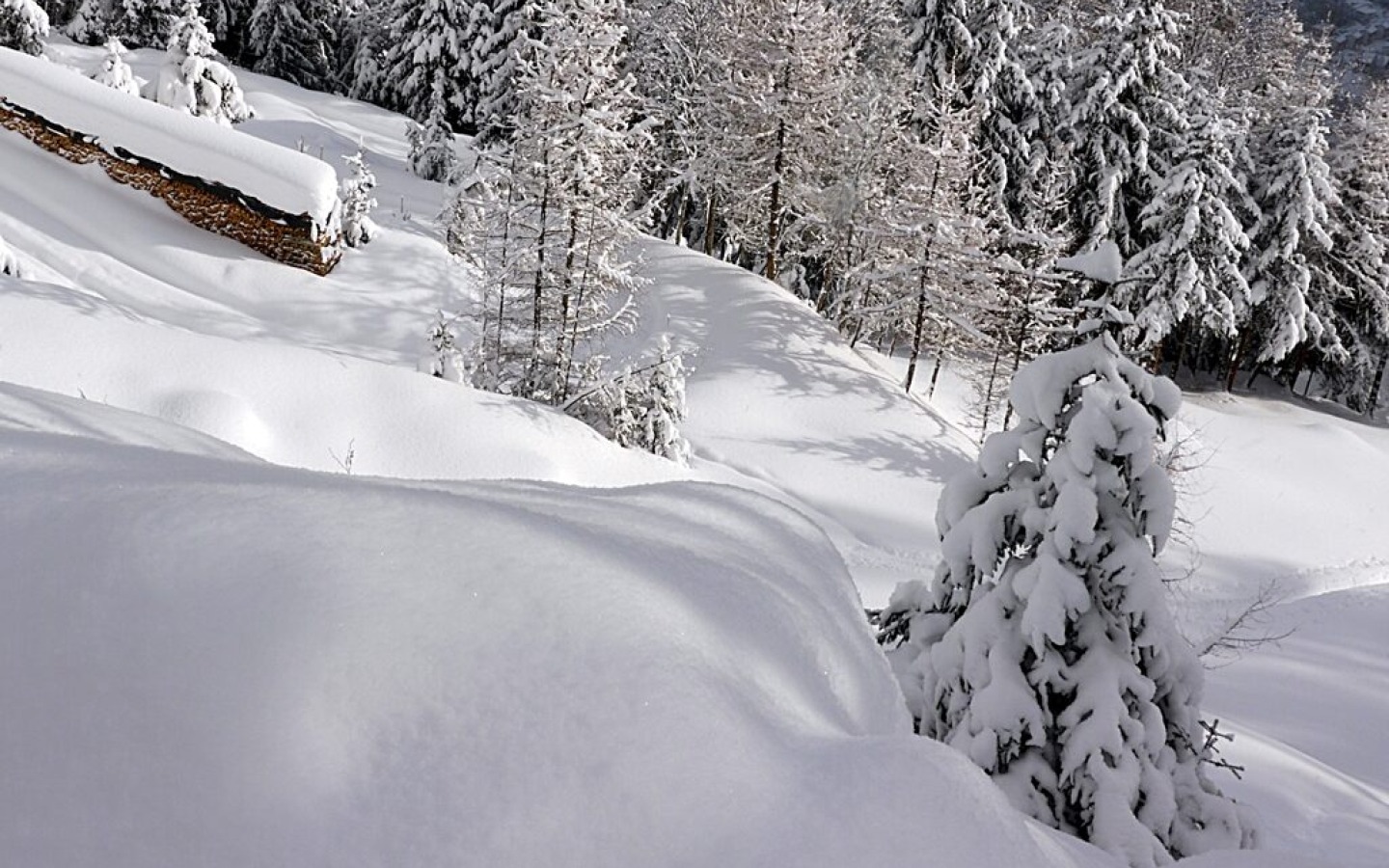 Today's survey in the area of the Kaserstattalm showed a snowpack depth of approx. 1,70m at altitudes of around 1900m. Deep in the snowpack lies a pronounced weak layer!