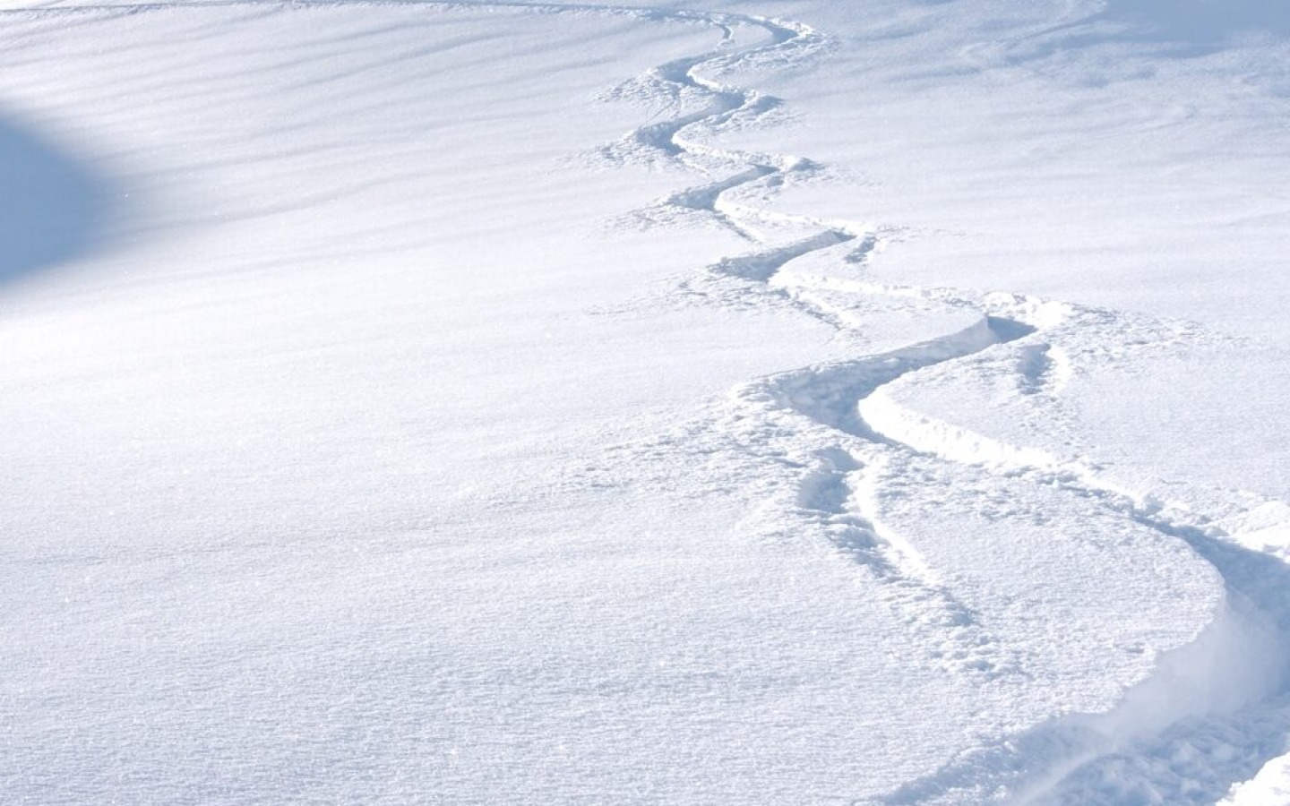 Étude du manteau neigeux le 22.01.2014