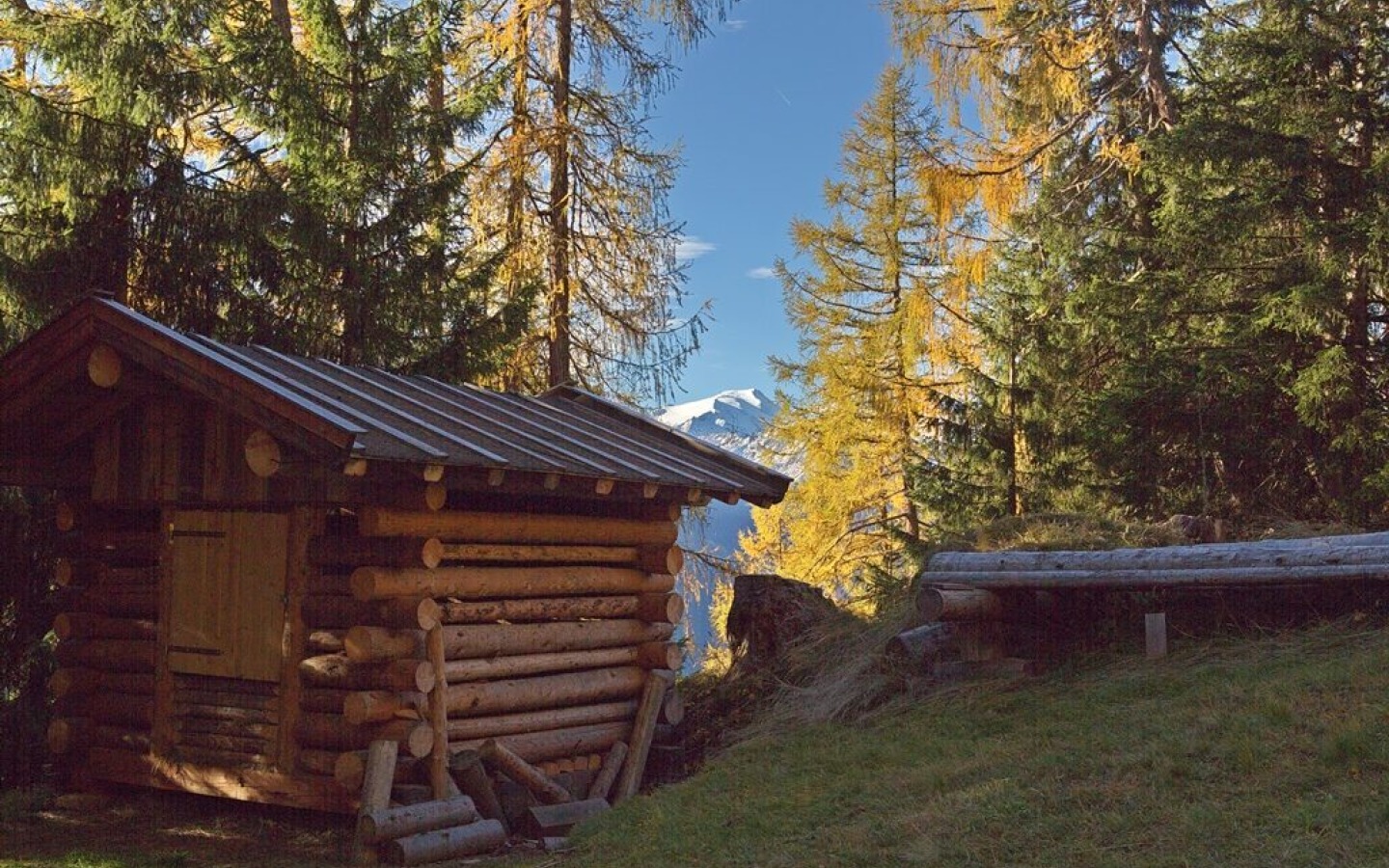 Nieuwe herfstfoto's van de klim naar de Starkenburger-Hütte, vandaag op 26.10.2013 gemaakt!