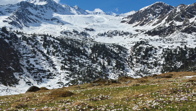 Grandios was die Natur derzeit bietet!
